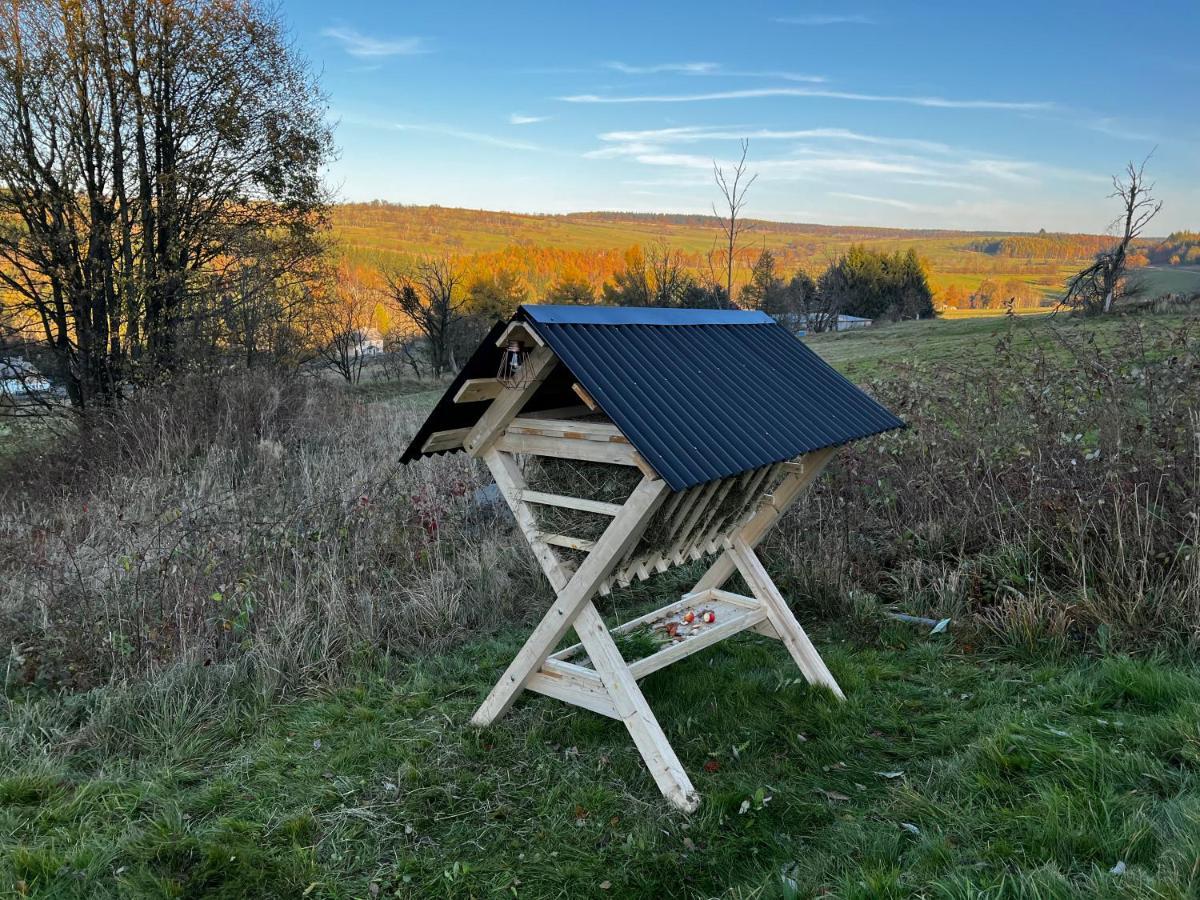 Luxus Ferienhaus Erzgebirge In Alleinlage Altenberg 외부 사진